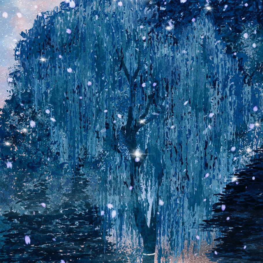 SHINKIRU – BLK GALLERY