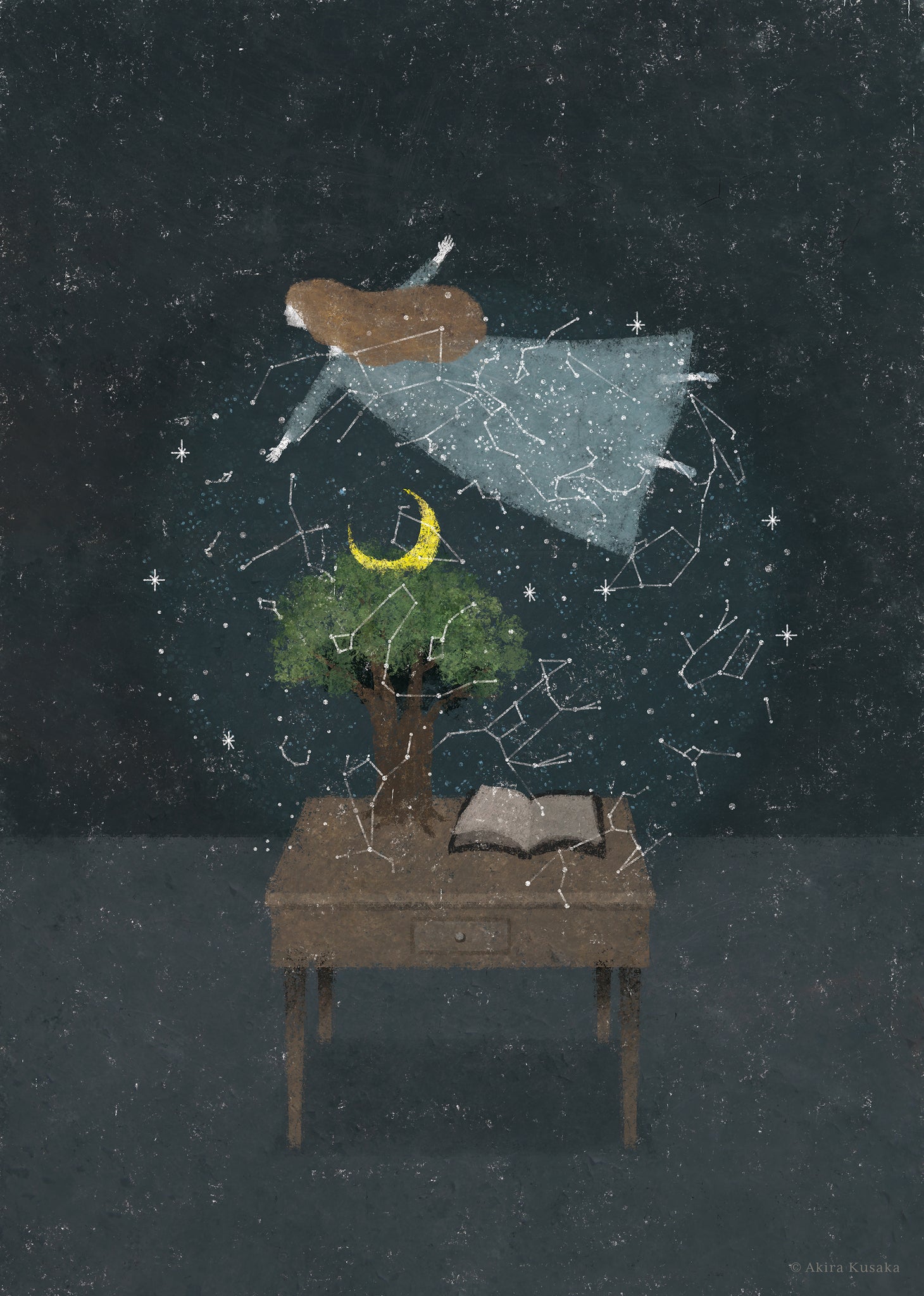 hokkyokuseiwosagashite